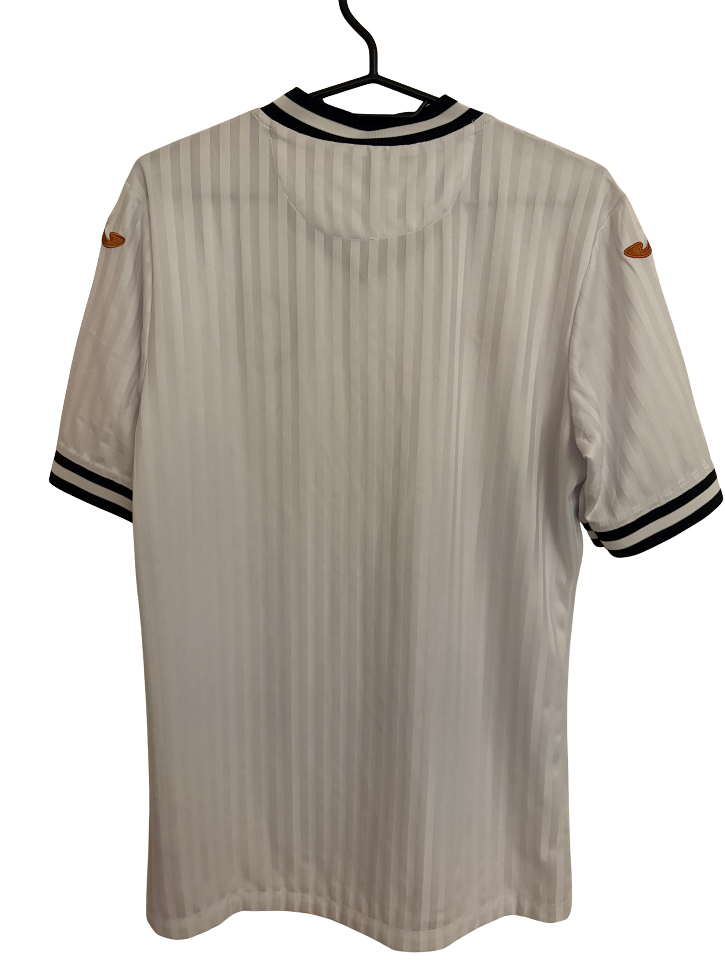 Swansea 2020/21 Hjemme